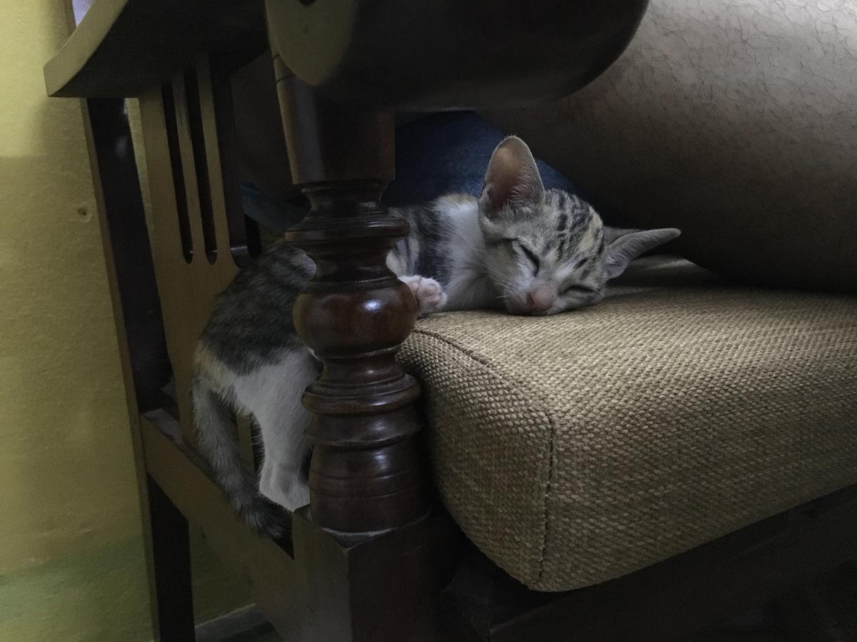 Nha Homestay Da Nang Buitenkant foto