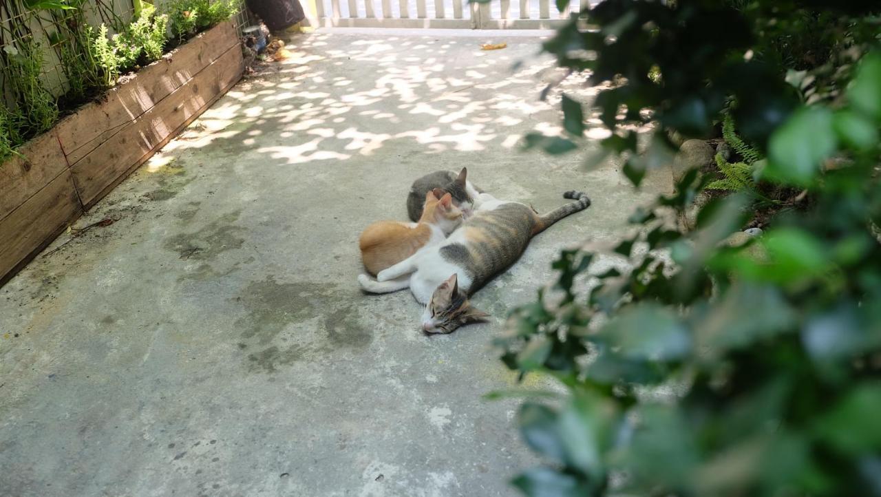 Nha Homestay Da Nang Buitenkant foto