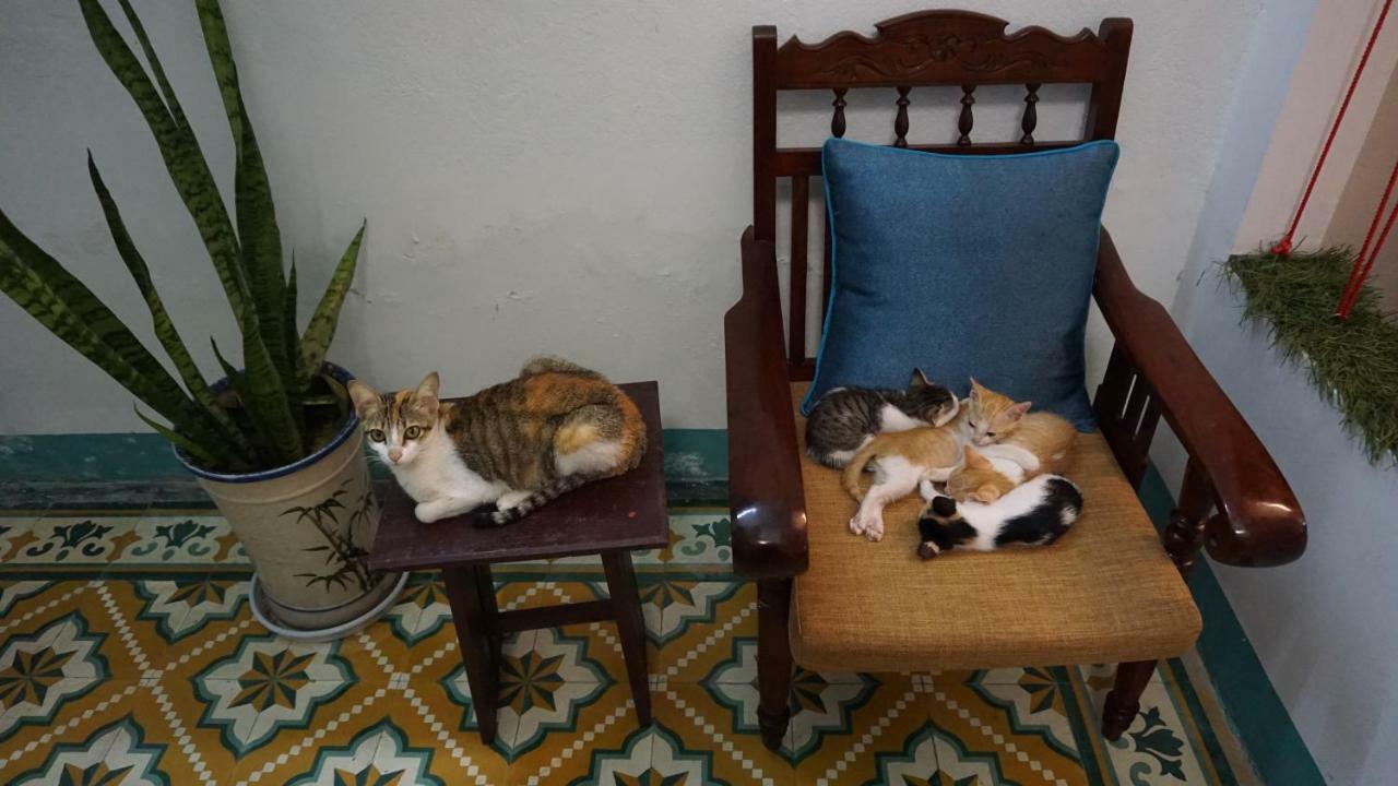 Nha Homestay Da Nang Buitenkant foto
