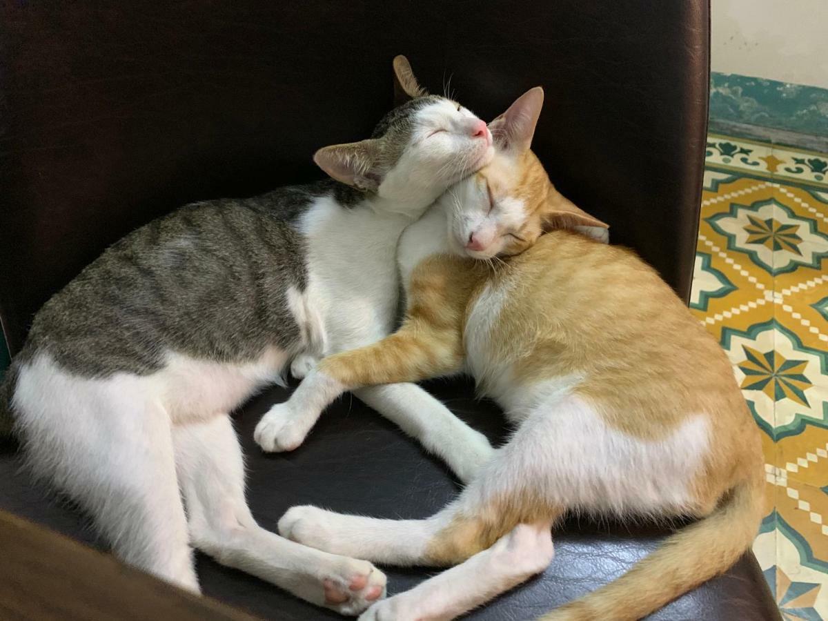 Nha Homestay Da Nang Buitenkant foto