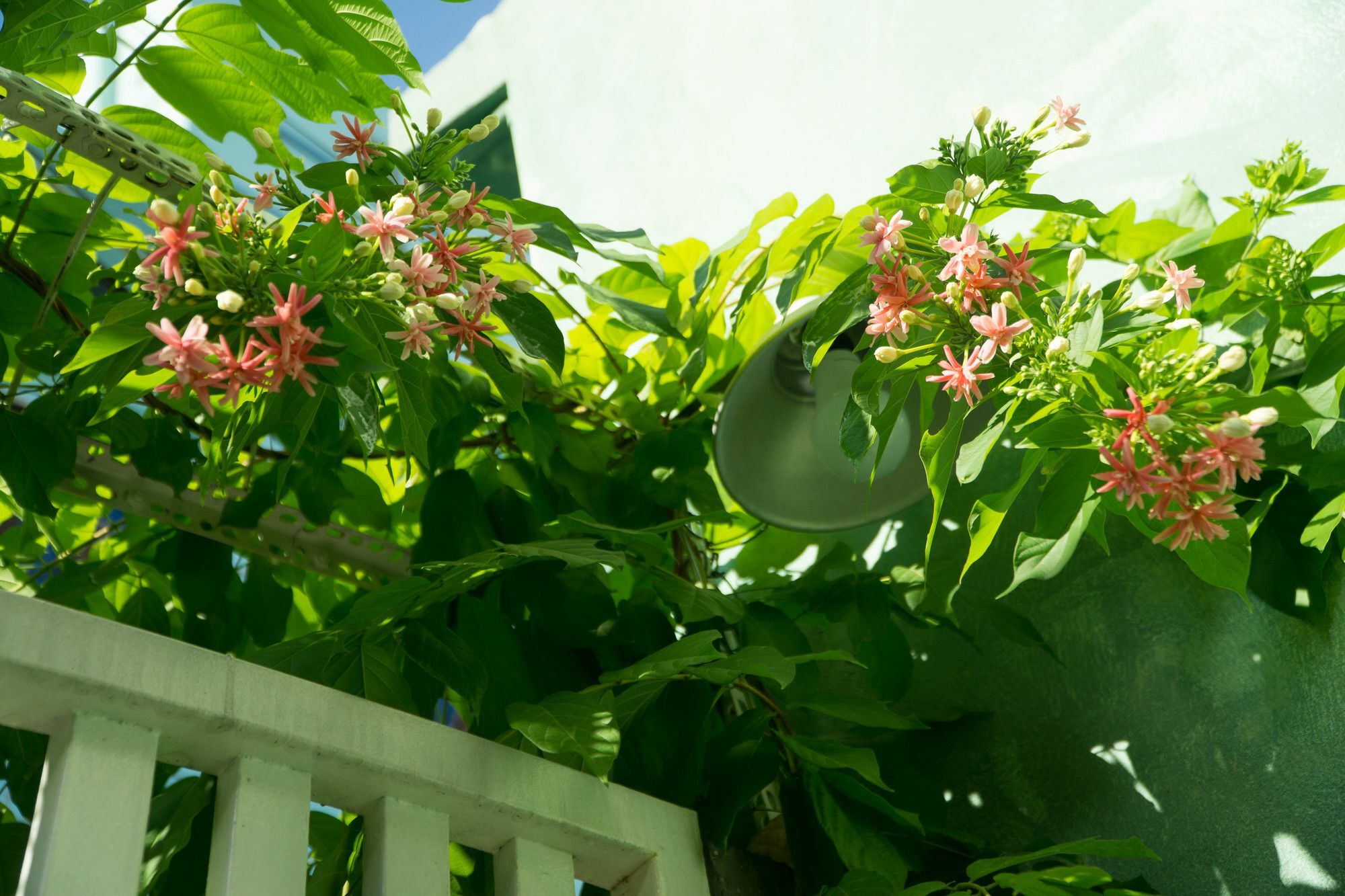 Nha Homestay Da Nang Buitenkant foto