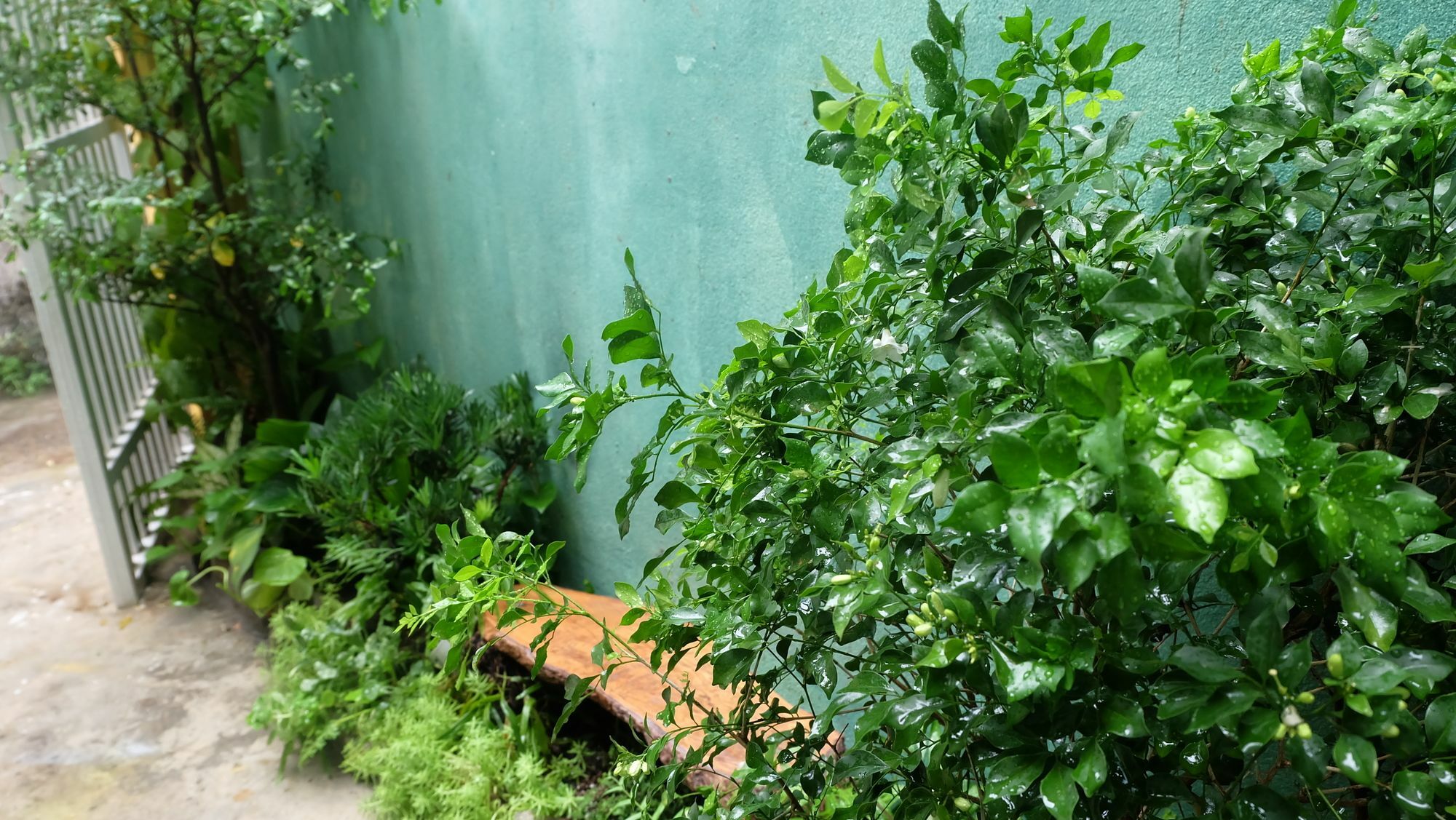 Nha Homestay Da Nang Buitenkant foto